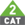 CAT 2